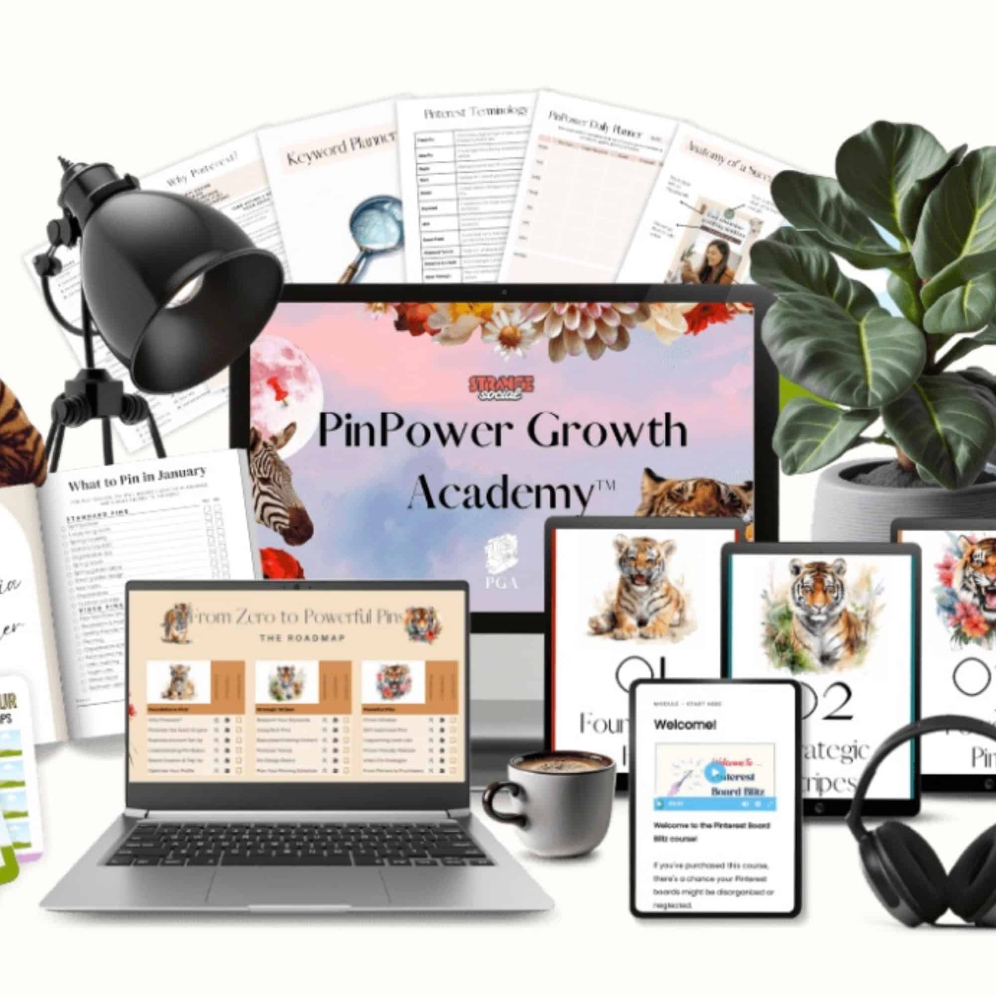 Pin Growth Academy